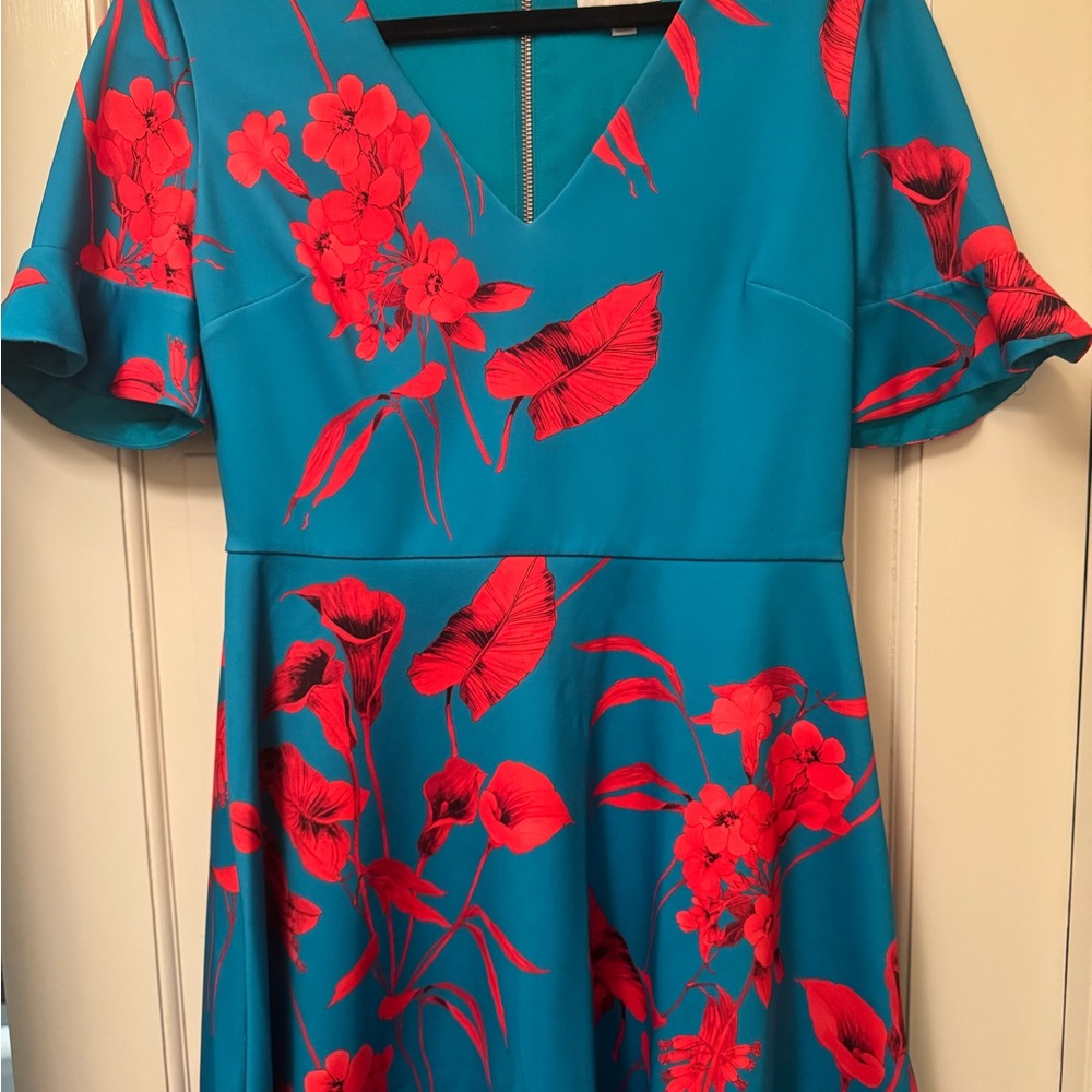 Floral Blue and Red Dress